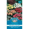 Mr Fothergill's Carnation Dwarf Fragrance Mix