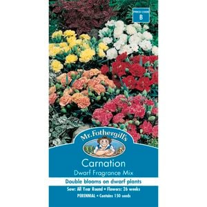 Mr Fothergill's Carnation Dwarf Fragrance Mix