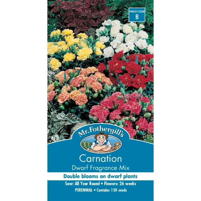 Mr Fothergill's Carnation Dwarf Fragrance Mix