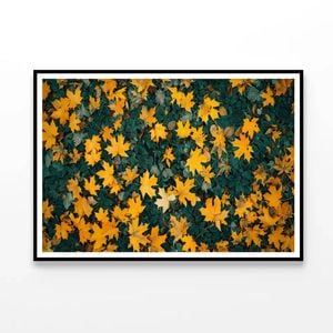 Close Up Yellow Leaves   Print 100% Australian Made 120x90cm  (Poster)