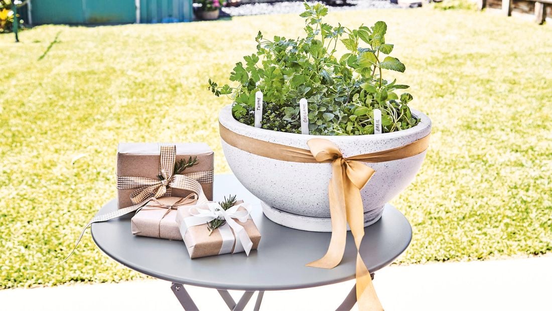 Presents wrapped and next to a pot of herbs
