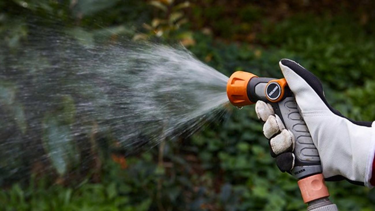 close-up of a hand spraying a garden with a hose