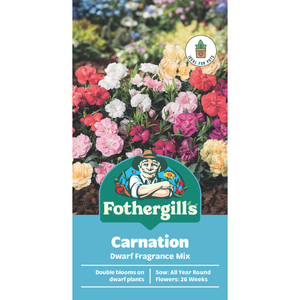 Fothergill's Carnation Dwarf Fragrance Mix