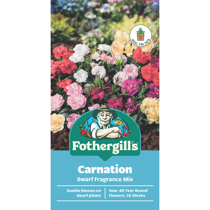 Fothergill's Carnation Dwarf Fragrance Mix