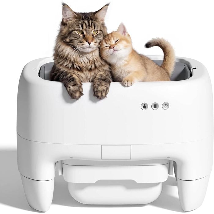 Advwin Self Cleaning Cat Litter Box Open Design APP Control Auto Smart Toilet Tray