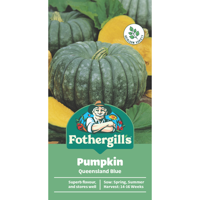 Fothergill's Queensland Blue Pumpkin Vegetable Seeds