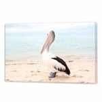 Monkey Mia Pelican | 90 x 60cm Stretched Canvas Print