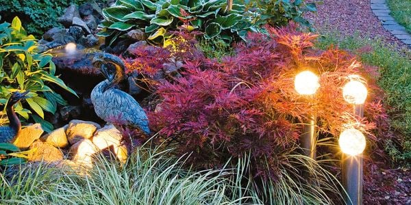 Garden with plants, shrubs, ornaments and lighting