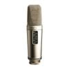Rode NT2-A Microphone