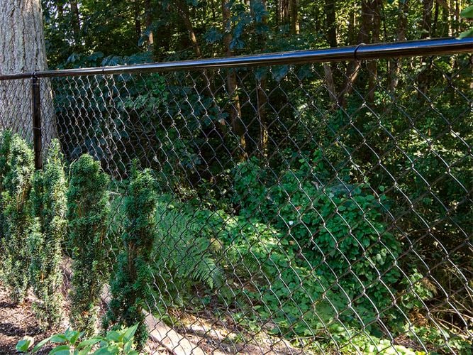 Use
  chain link fencing to protect residential yards