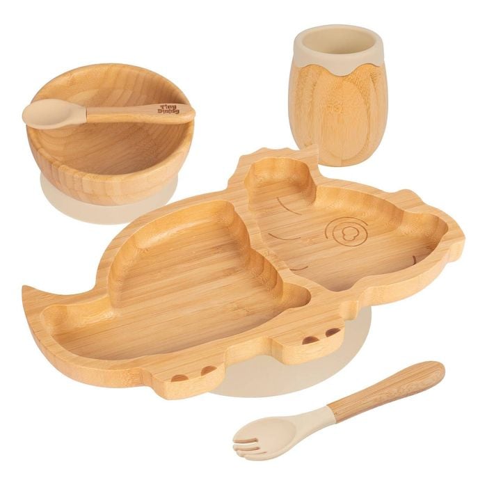 5pc Bamboo Dinosaur Baby Weaning Set