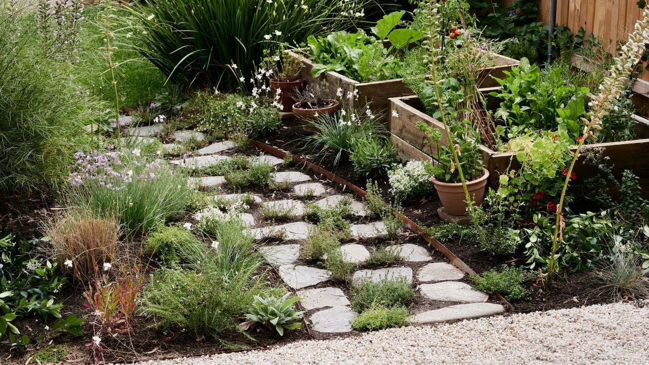 Garden with stone steps and an assortment of plants growing in ground and in wooden garden beds