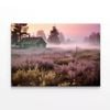 House during Sunrise with Grass  Print 100% Australian Made 75 x 50cm  (Stretched)