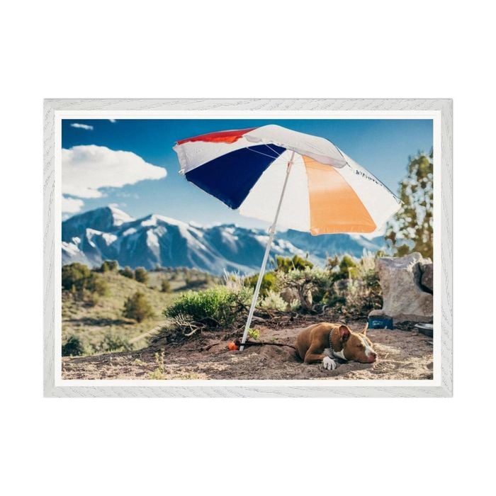 Galrie Mammoth Lakes Hot Dog Art Photography Print, White Frame, A1 60 x 84cm (23 x 33inch)