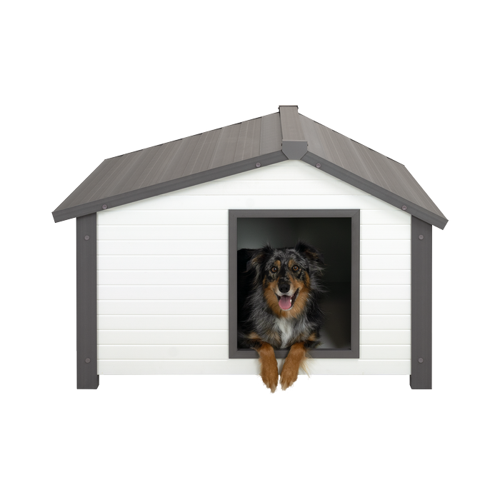 Pet Cage Dog Kennels For Sale Bunnings Bunnings Dog House Sales