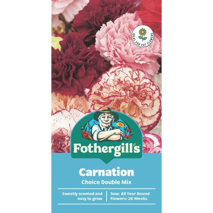Fothergill's Carnation Choice Double Mixed Flower Seeds