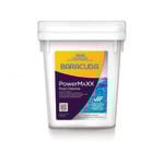 Baracuda 10kg PowerMaXX Pool Chlorine