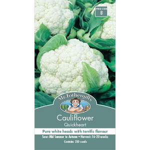 Mr Fothergill's Quickheart Cauliflower Vegetable Seeds