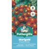 Fothergill's Marigold Carmen Seeds