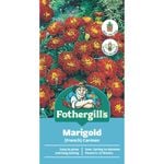 Fothergill's Marigold Carmen Seeds