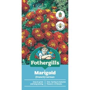 Fothergill's Marigold Carmen Seeds