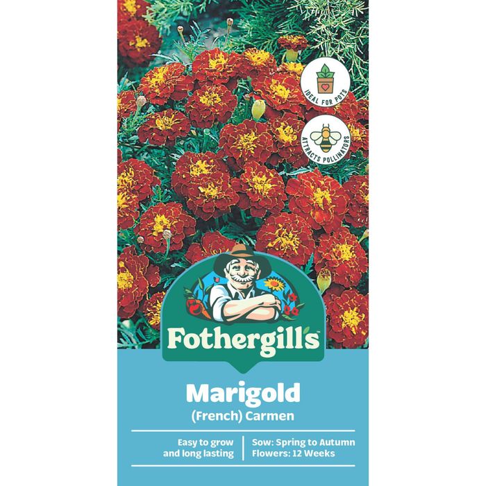 Fothergill's Marigold Carmen Seeds