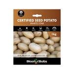Bloomin' Bulbs Seed Potato White Star - 1kg