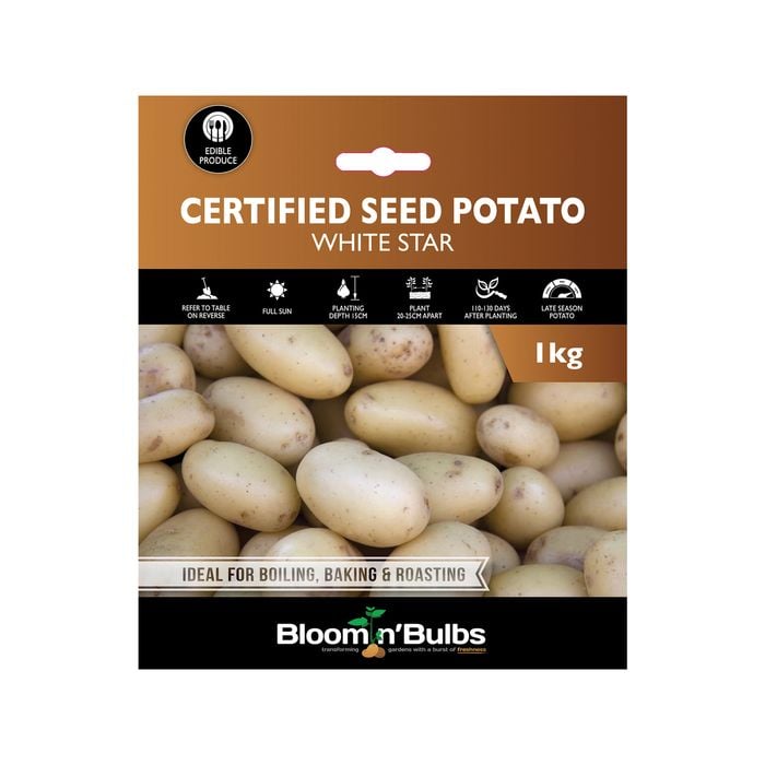Bloomin' Bulbs Seed Potato White Star - 1kg