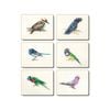 Cinnamon Placemats Cork Backed Set of 6 Away with the Birds 30 x 23cm
