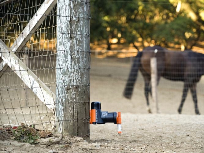 An A24 smart trap on a fence post in a yard with a horse in the background