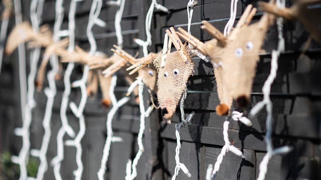 christmas lights and reindeer garland hanging from backyard fence