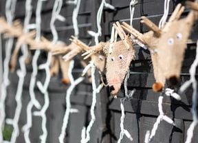 christmas lights and reindeer garland hanging from backyard fence