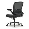 Eureka OC06 ONYX Ergonomic Home/Office Chair - BLACK