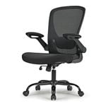 Eureka OC06 ONYX Ergonomic Home/Office Chair - BLACK