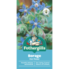 Fothergill's Borage Star Flower Seeds