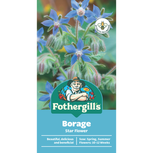 Fothergill's Borage Star Flower Seeds