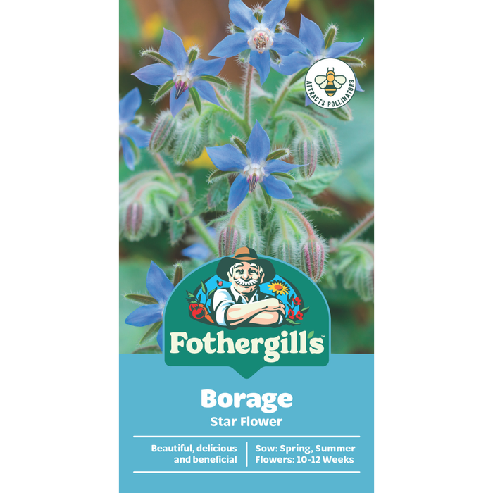 Fothergill's Borage Star Flower Seeds