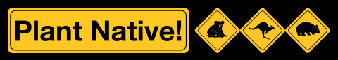 PlantNative