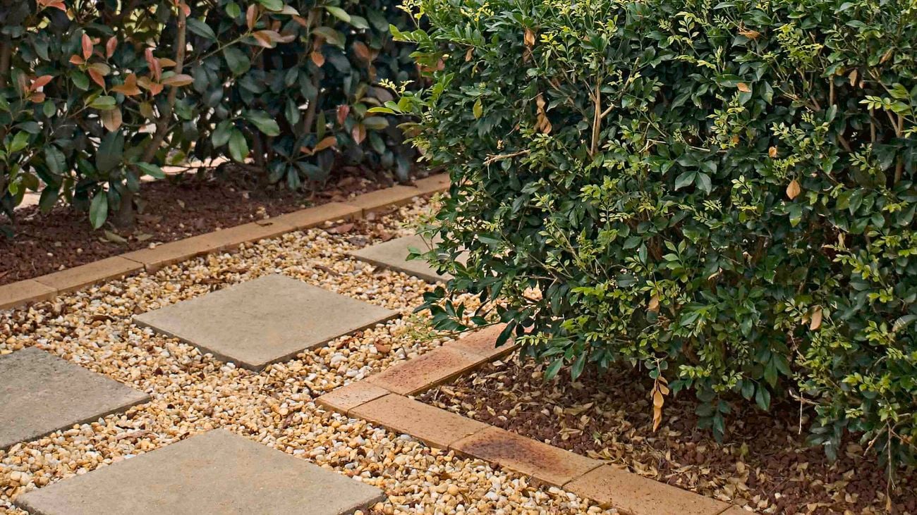 Hedges line a gravel and paver pathway.