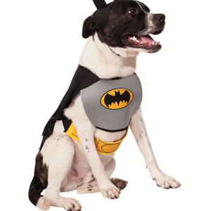Batman Pet Costume Halloween Fancy Dress Dog Chest Piece Cape Black