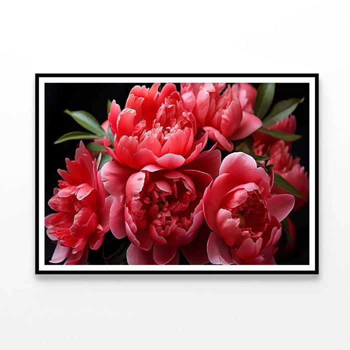 Garden Roses with Leaves  Print 100% Australian Made 90x60cm  (Poster)