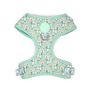 Holly & Co  Pretty Fly For A Cacti Large Green Stylish Dog Harness