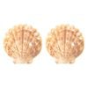 2x 10pc Esschert Design Paper Plate Shell Picnic/Snack Dinnerware 23.2cm Brown
