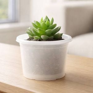 Moda 15cm Transparent White Plastic Cylinder Garden Pot