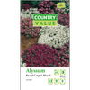 Country Value Alyssum Pastel Carpet Mix Flower Seeds