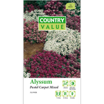 Country Value Alyssum Pastel Carpet Mix Flower Seeds