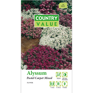 Country Value Alyssum Pastel Carpet Mix Flower Seeds