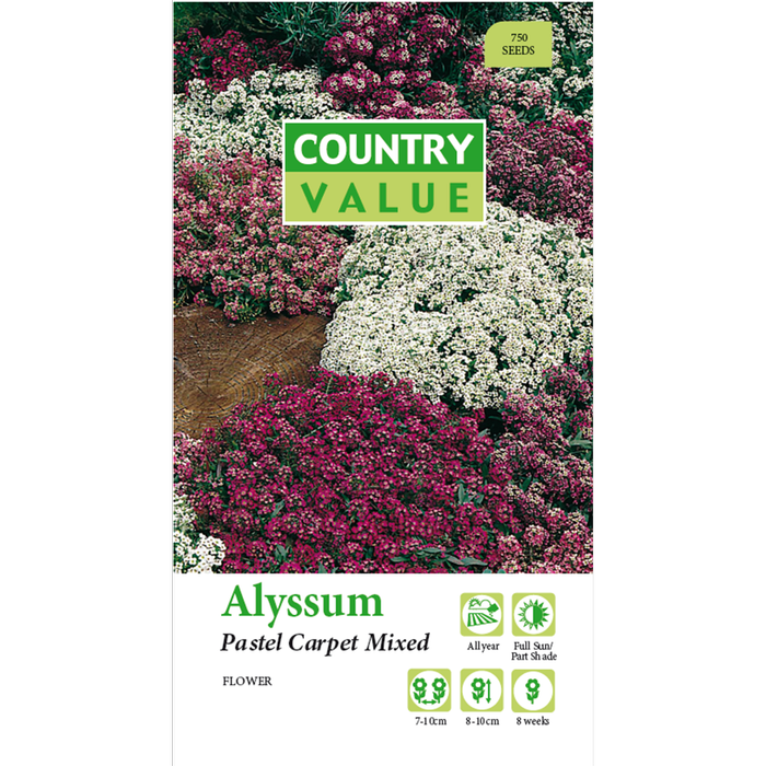 Country Value Alyssum Pastel Carpet Mix Flower Seeds