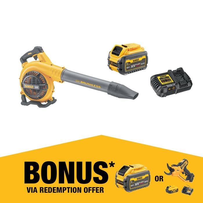 DeWALT 54V XR FLEXVOLT Brushless Blower Kit 