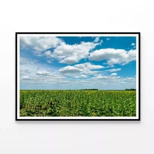 Plants under a Cloudy Sky   Print 100% Australian Made 90x60cm  (Poster)